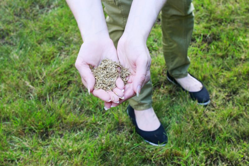 Clean Lawn Ready for Winter