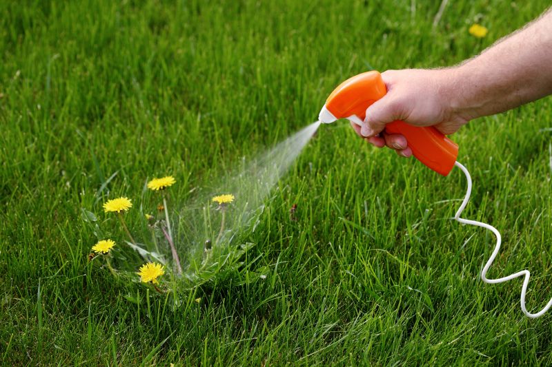 Lawn Herbicide Treatment in Honolulu, HI