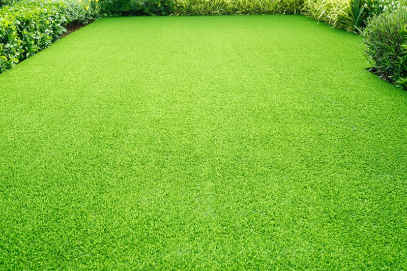 Lawn Renovation