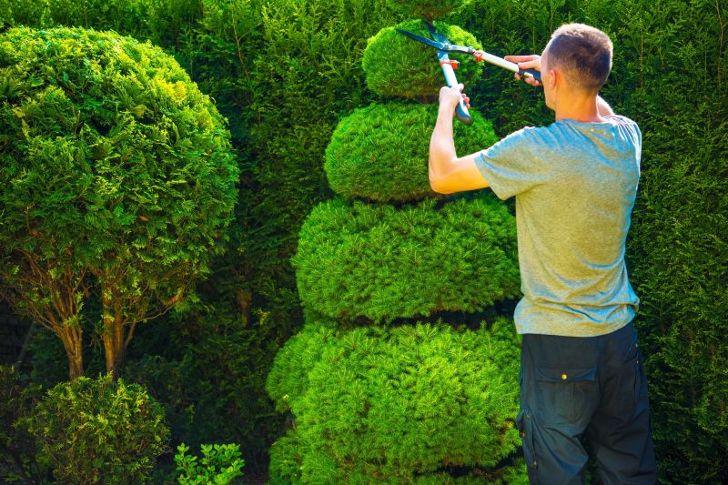 Tree and Shrub Pruning