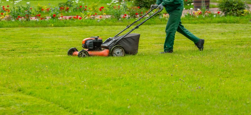 Commercial Landscape Maintenance