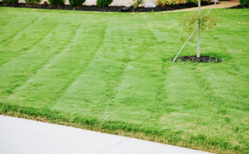 Lawn Edging and Trimming