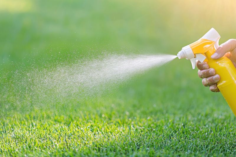 Lawn Spraying in Honolulu, HI