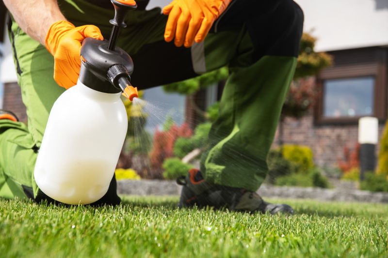 Lawn Weed Treatment in Ventura County, CA