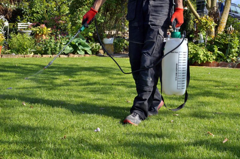 Products For Lawn Maintenances in use