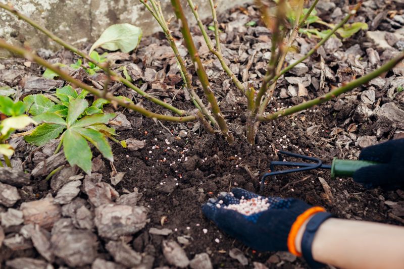 Residential Lawn Fertilizing in Honolulu, HI