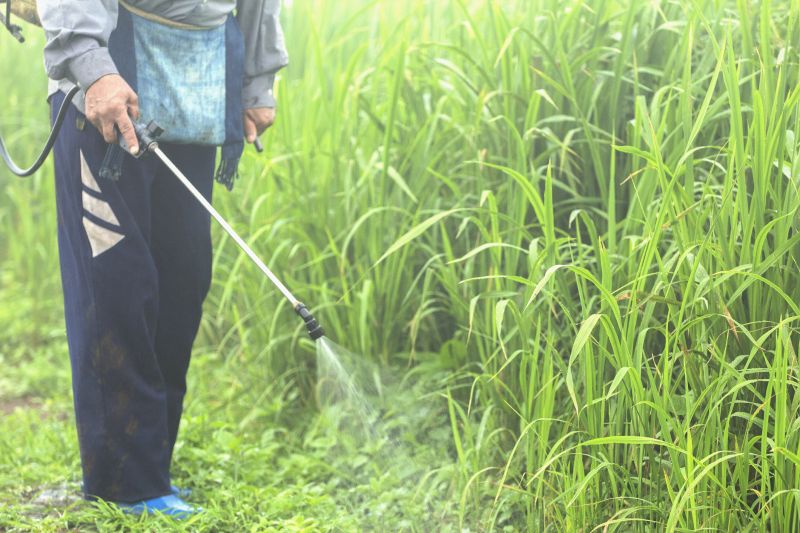 Weed Prevention Service in Ventura County, CA
