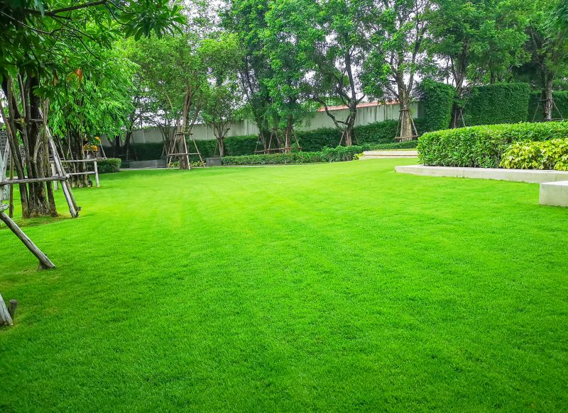 Get Consistent Lawn Care Service!