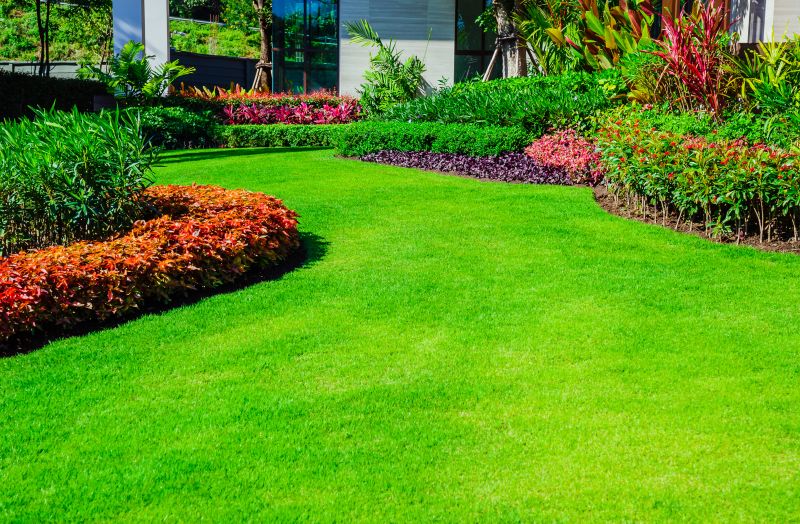 Lawn Maintenance - Lawn Maintenance Pasco County, Florida